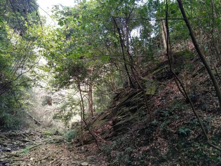 “域”见蜡画 诗意人生